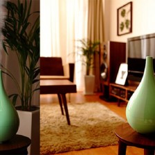 What are the Advantages and Disadvantages of Air Humidifiers?